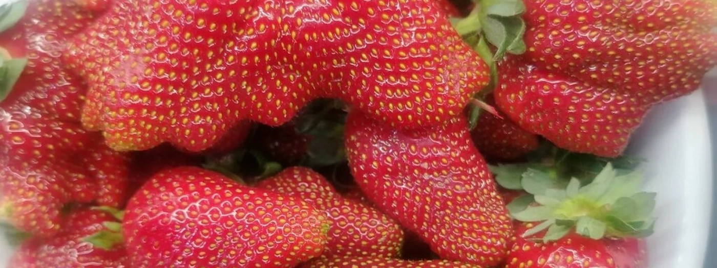 Choccoberry