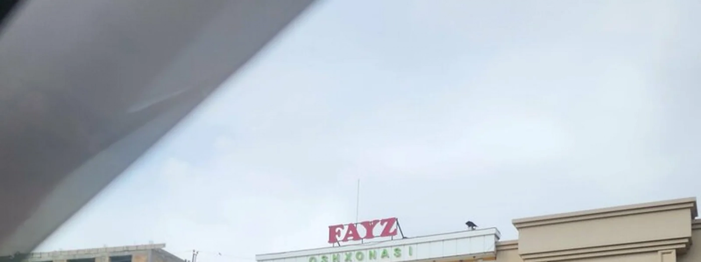 Fayz