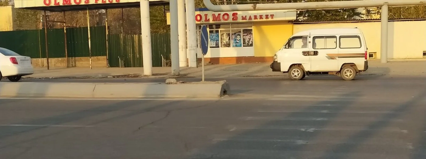 Olmos Plus