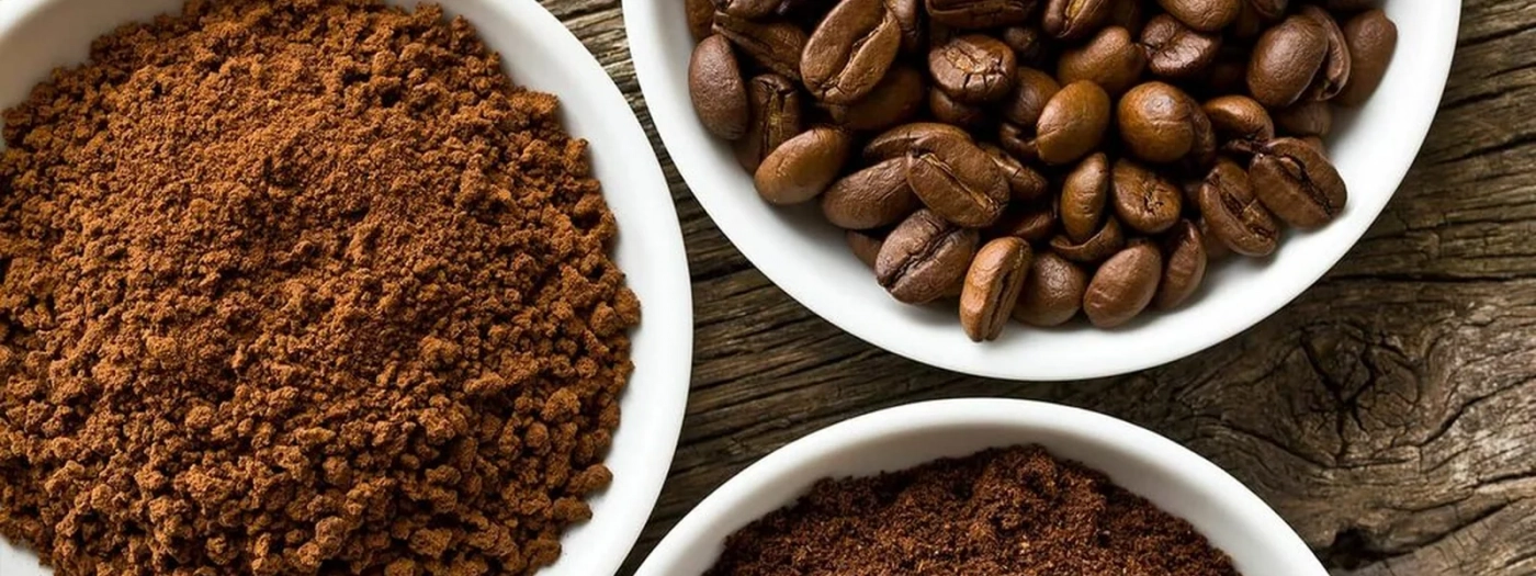 Specialty Coffee Alliance