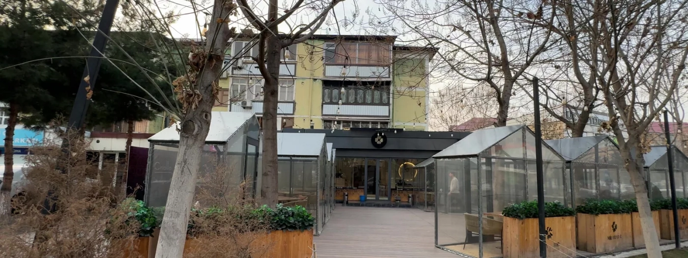 Мистер Арабик