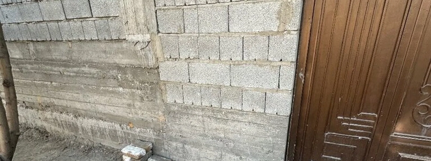Grilla
