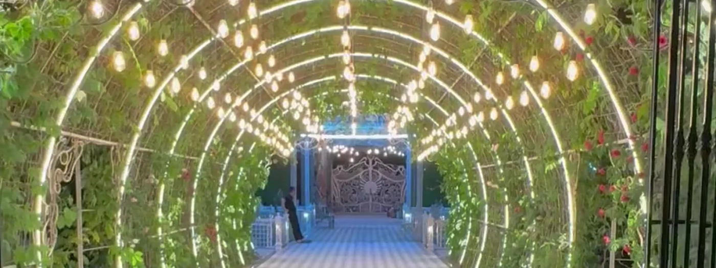 Miracle Garden