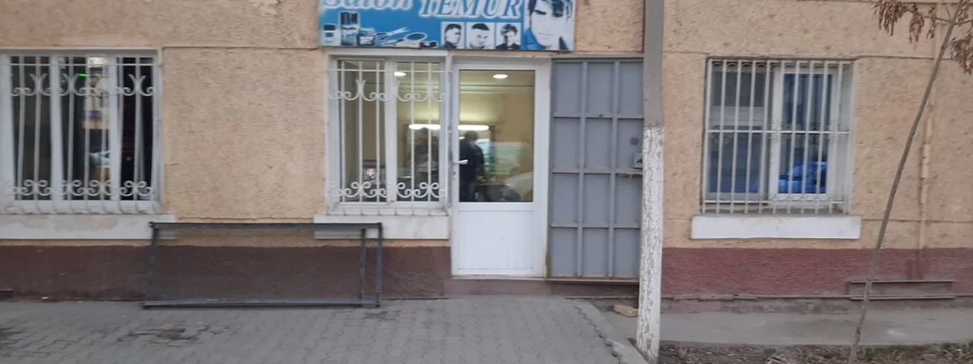 Temur Salon
