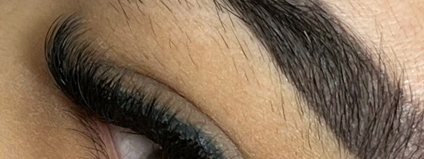 Elya Lashes