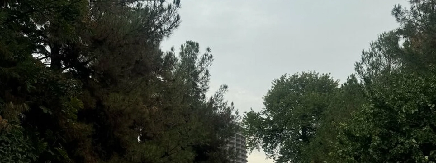 Tashkent Medical Academy, Clinic No. 3, Gynecology Department