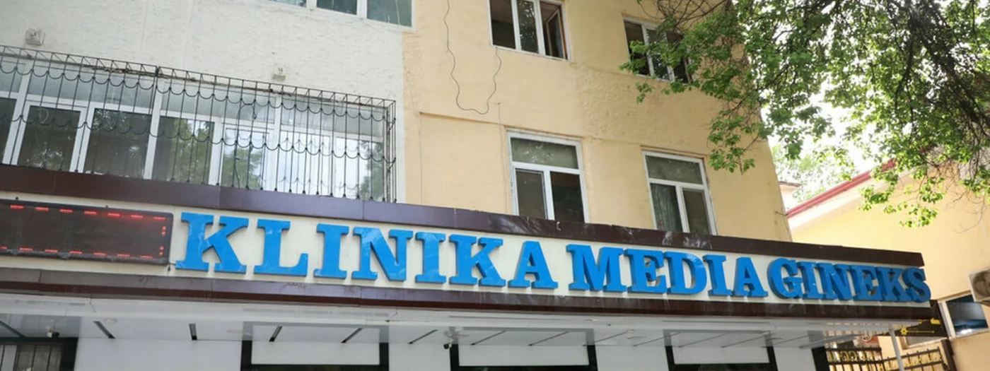 Media Gineks