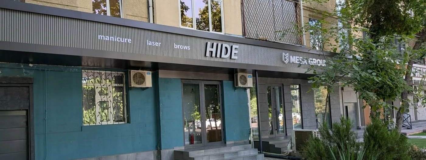 Hide