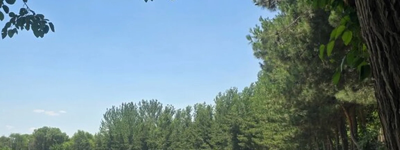Akcha Nur