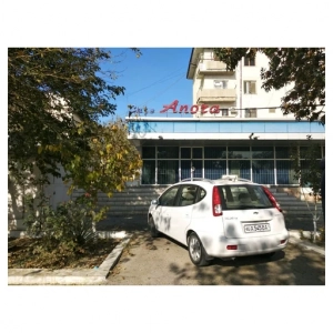 Anora