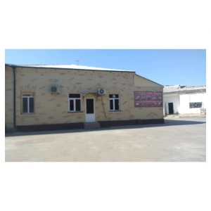 Tiyokh