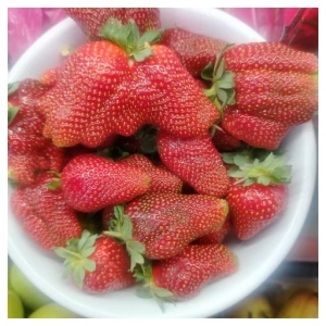 Choccoberry