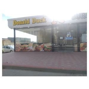 Donald Duck