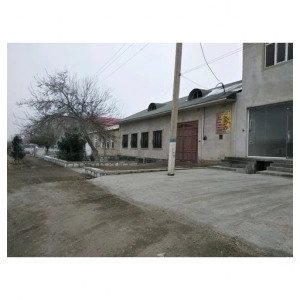 Order Samsa