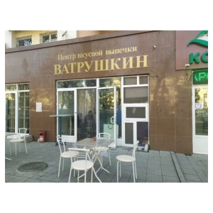 Vatrushkin