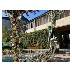 Miracle Garden