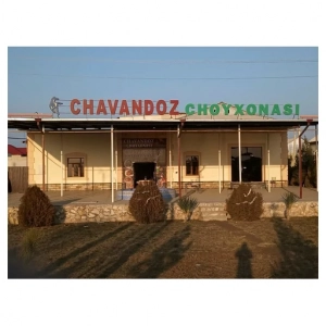 Chavandoz