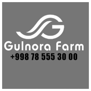 Gulnora Med Farm